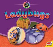 Ladybugs cover image cdn