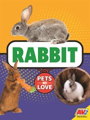 Rabbit cover image cdn