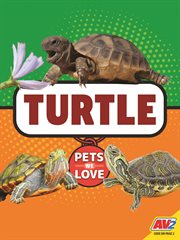 Turtle cover image cdn