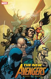 The New Avengers. Volume 6, issue 26-31, Revolution cover image cdn