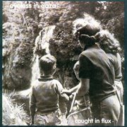 Caught in the flux cover image cdn