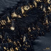 Common ground cover image cdn