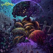 Enlightenment cover image cdn