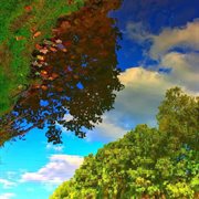 Four songs cover image cdn