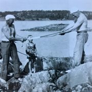 Kristina nilsson-olyckan cover image cdn