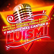 Luismi el tributo cover image cdn