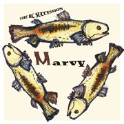Marvy cover image cdn