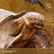 Slow motionized lofi, vol. 7 cover image cdn