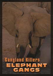 Elephant gangs cover image cdn