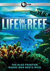 Life on the reef cover image cdn