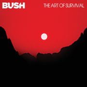 The art of survival cover image