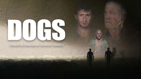Dogs cover image cdn