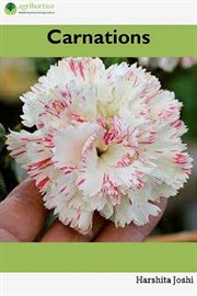 Carnations cover image cdn
