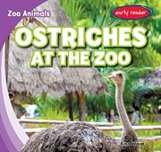 Ostriches at the zoo cover image cdn
