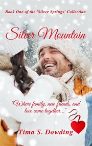 Silver mountain cover image cdn