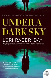 Under a dark sky : a novel cover image cdn