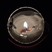 Fever cover image cdn