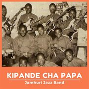 Kipande cha papa cover image cdn