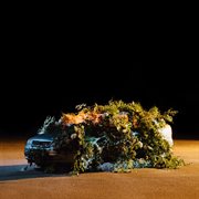 Kronisk skeptisk cover image cdn