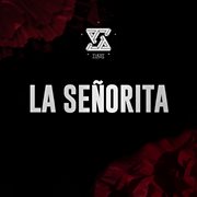 La señorita cover image cdn