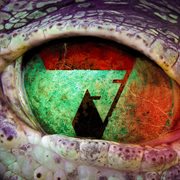 Predator cover image cdn