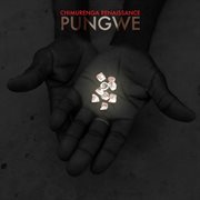 Pungwe cover image cdn