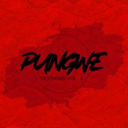 Pungwe sessions vol. ii cover image cdn