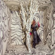 Revealer cover image cdn