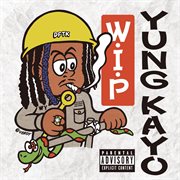 Work in progress cover image cdn