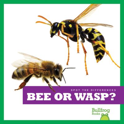 Bee or wasp?  cover image cdn