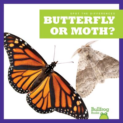 Butterfly or moth?  cover image cdn
