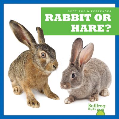 Rabbit or hare?  cover image cdn