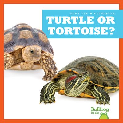 Turtle or tortoise?  cover image cdn