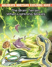 The brain terrain : when lightning strikes cover image cdn