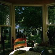 Doing my best cover image cdn