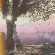 Final fantasy: the finale cover image cdn