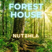 Forest house cover image cdn