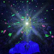 Honeysuckle flood cover image cdn