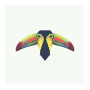 Shame cover image cdn