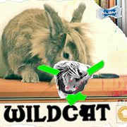Wildcat cover image cdn