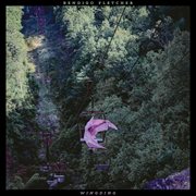 Wingding cover image cdn