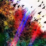 Íslensk fuglahljóð cover image cdn