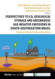 Perspectives to co2 geological storage and greenhouse gas negative emissions in south-southeastern b cover image cdn