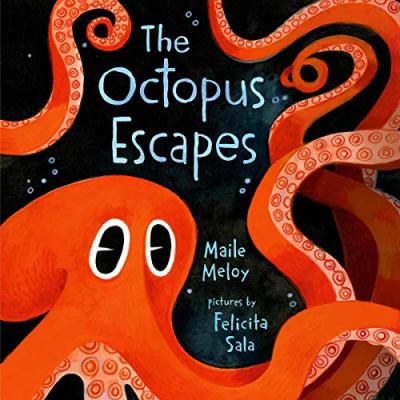 The octopus escapes  cover image cdn