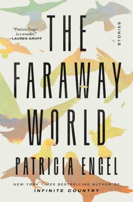 The faraway world : stories  cover image cdn