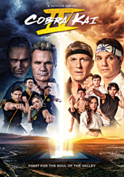Cobra Kai. Season 4 cover image cdn
