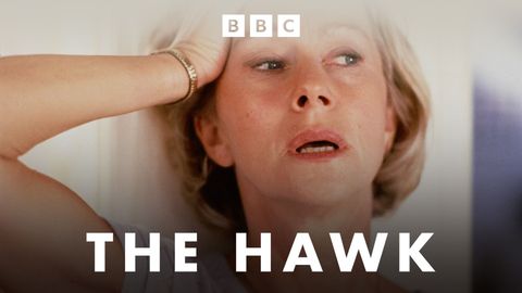 The Hawk cover image cdn