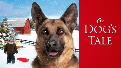 A Dog's Tale cover image cdn