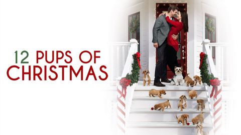 12 Pups of Christmas cover image cdn