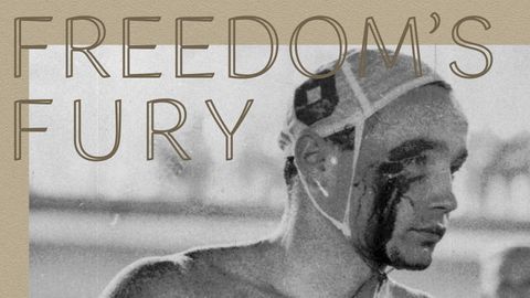 Freedom's Fury cover image cdn